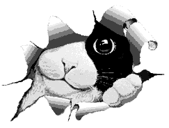 Es que las mujeres ... !!